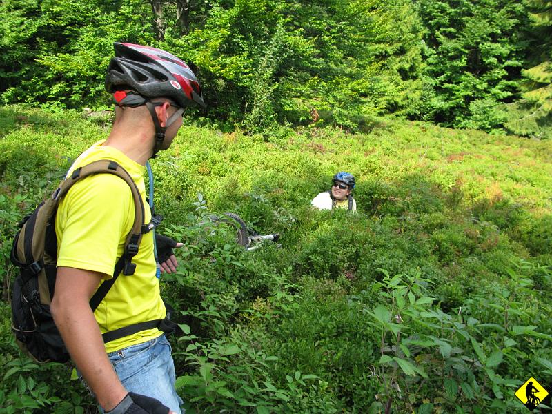 foto 082.jpg - Zjazd obfituje w wizytę Jurka w borówkach...